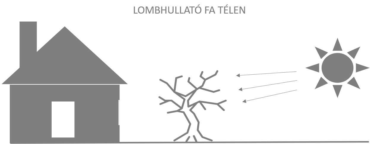 lomhullato_fa_telen